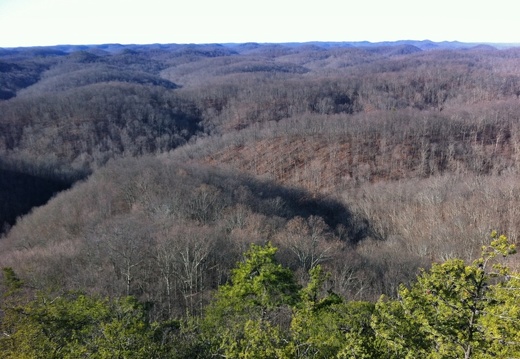 Buck Creek basin